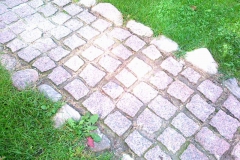 ideed0048