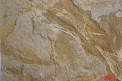 ideed0110