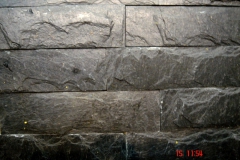 ideed0119