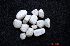 ideed0299