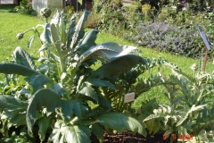ideed0492