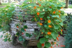 ideed0496