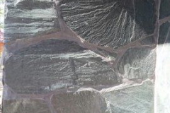 seinad080