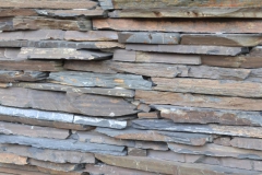 seinad090