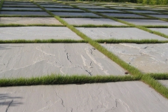 terrassid013
