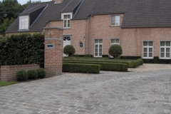 terrassid041