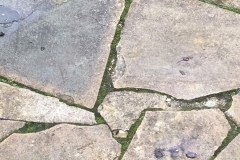 terrassid221