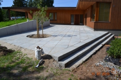 trepid039